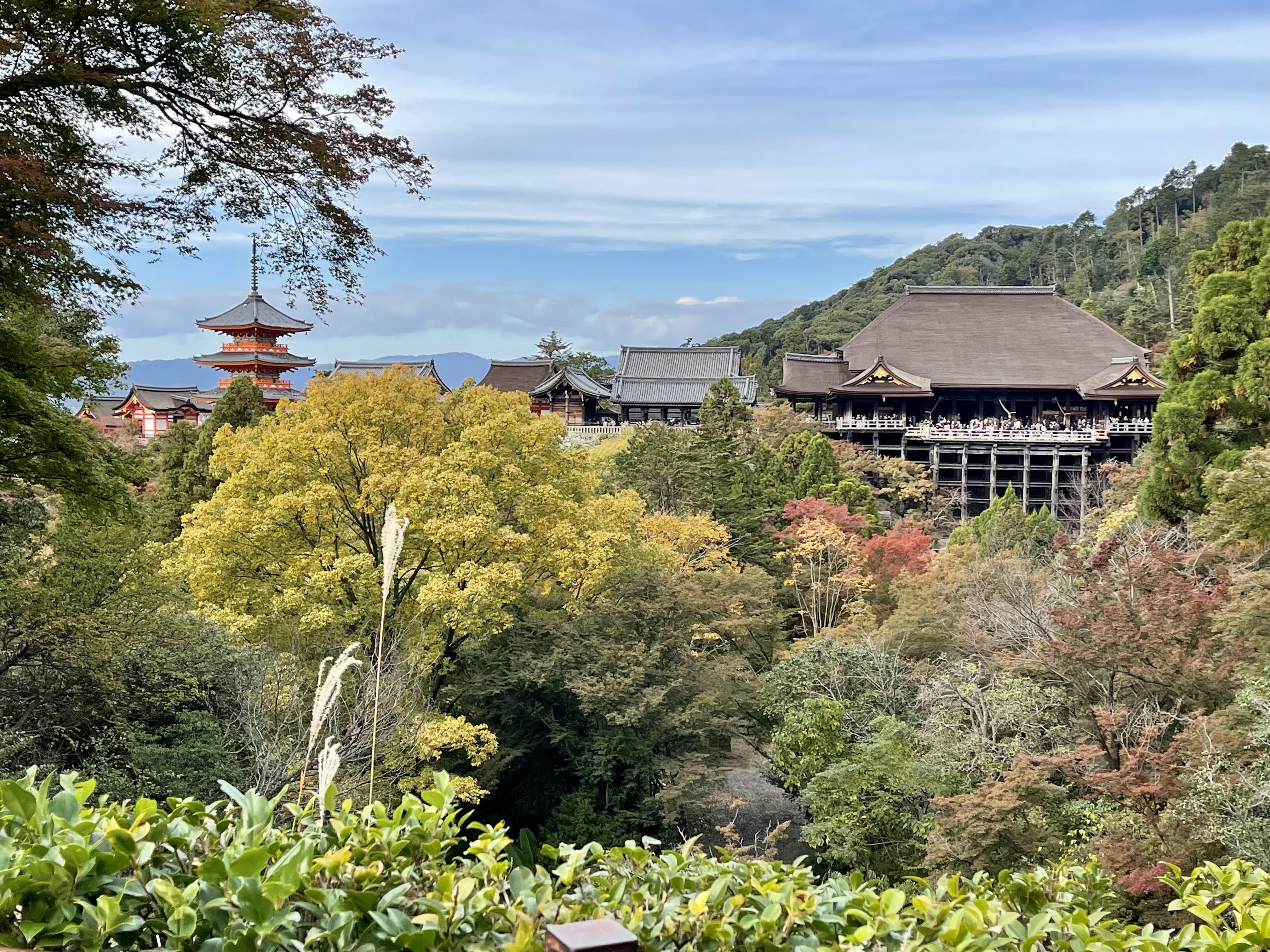 まもなく紅葉の季節です！