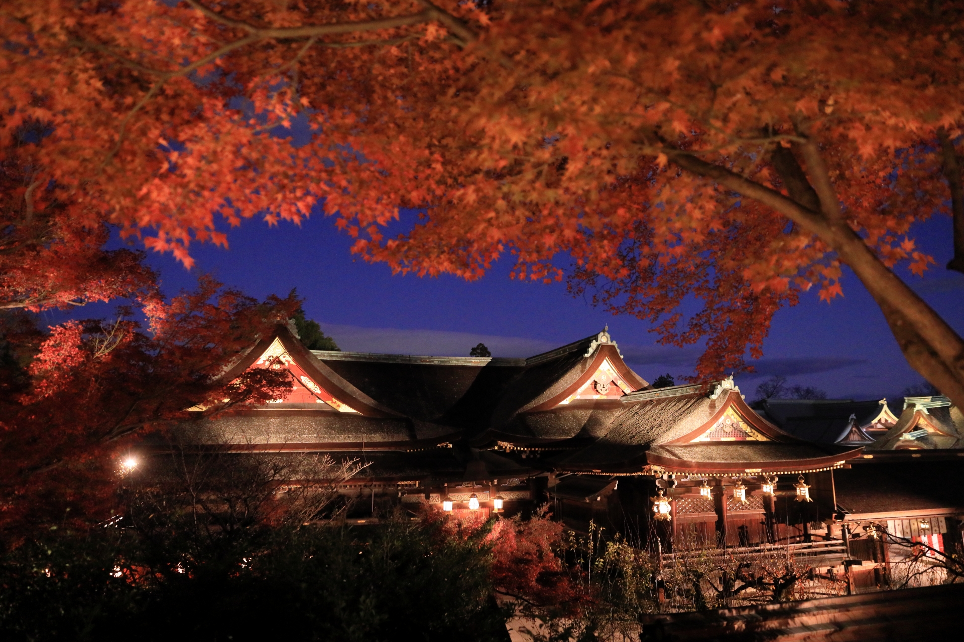 年末年始の発送についてのお知らせ 🎍📦