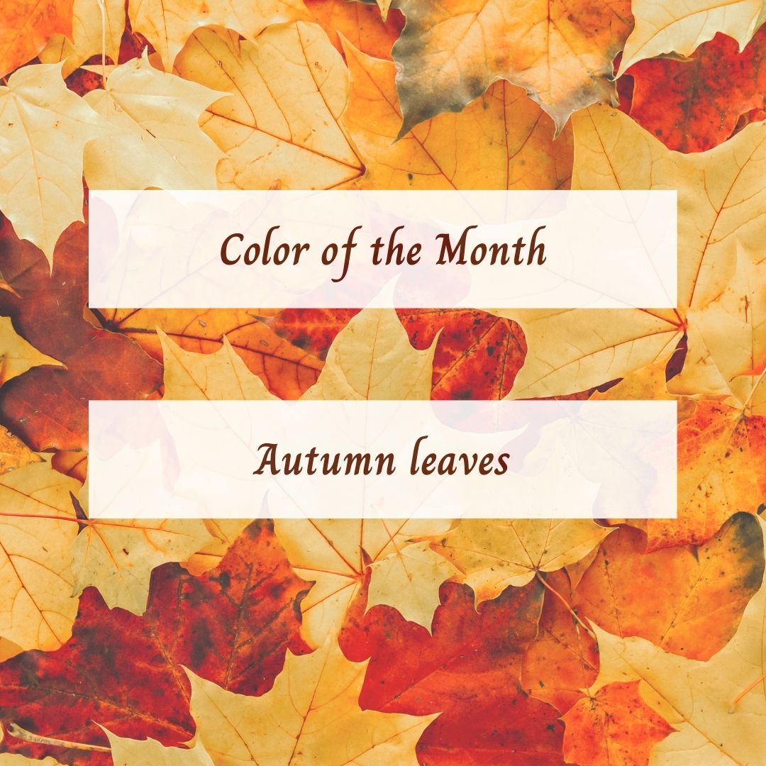 "Color of the Month" ～October