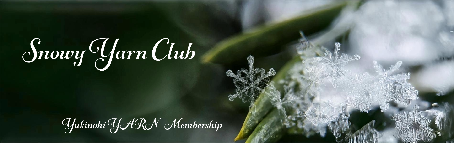 Snowy YARN Club~メンバーシップのお知らせ