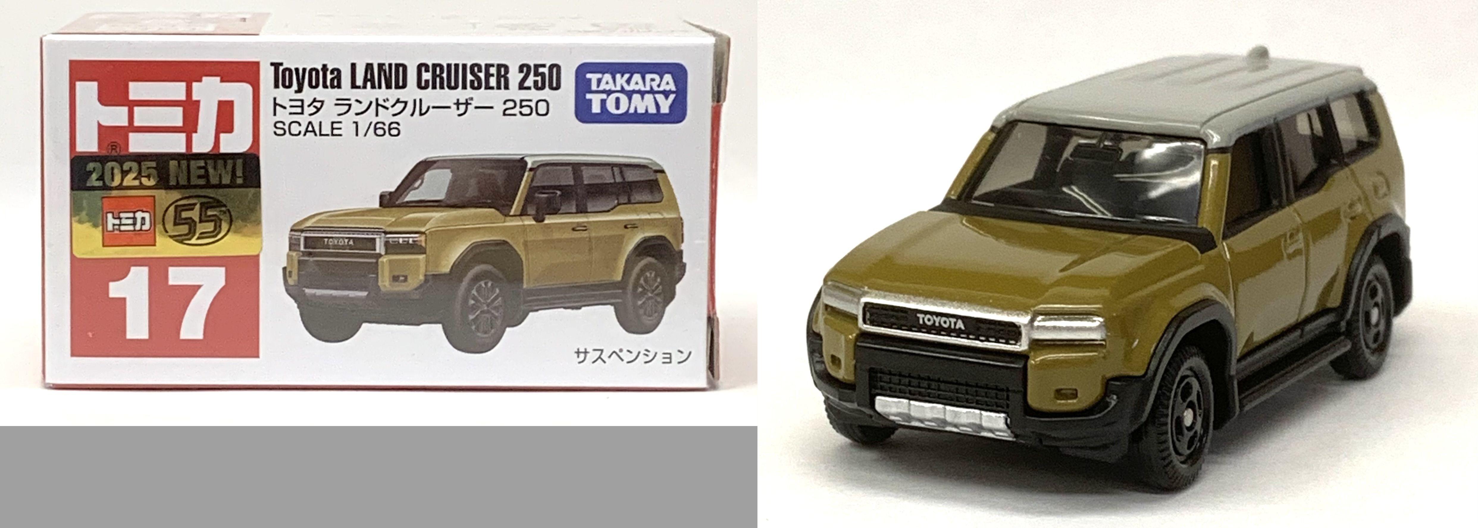 入荷情報 2025 / 10/ 18