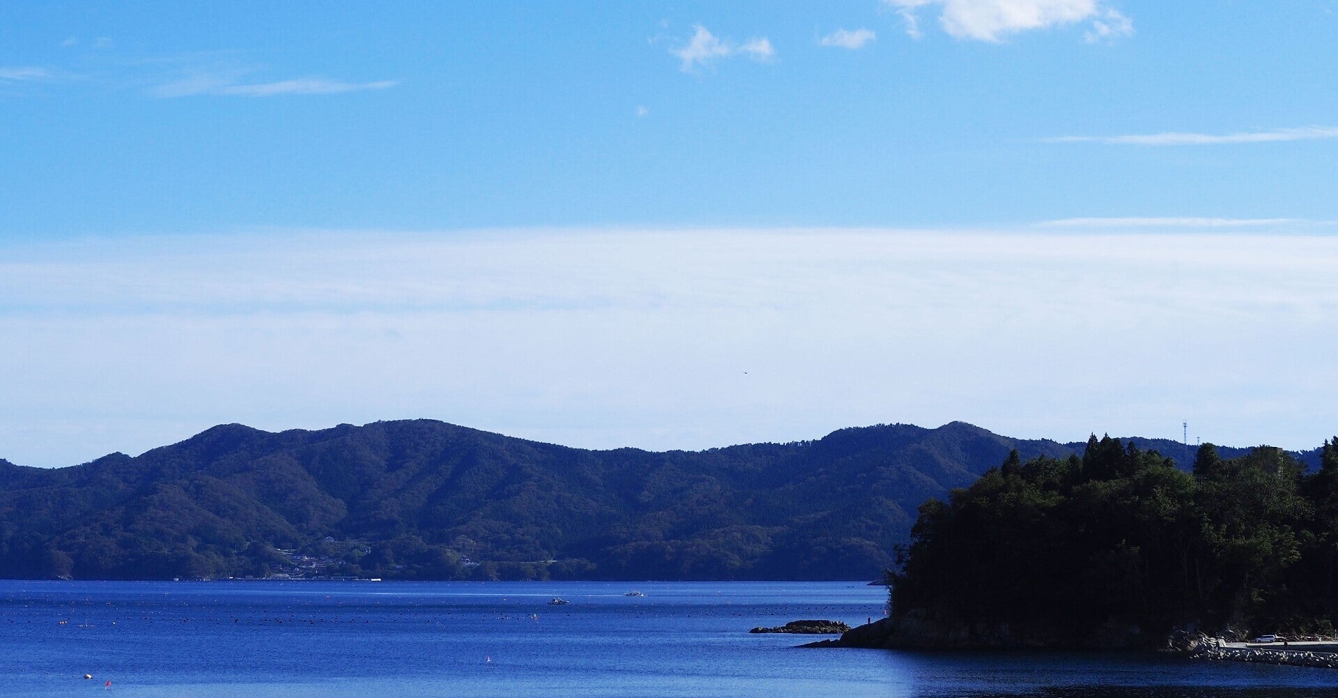 【Mottainai&SBTの連携】ともに取り組む脱炭素社会