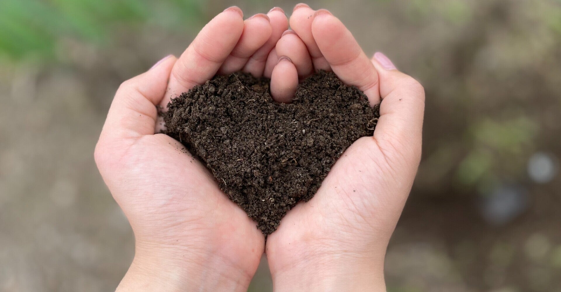 【2021年最後】私たちが環境の為に出来ること~活動の振り返り~