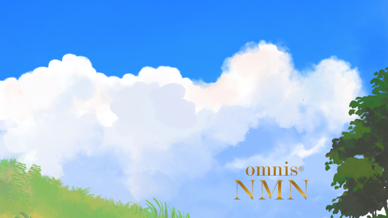 #NMNの散歩道（２６）―雲の記憶―