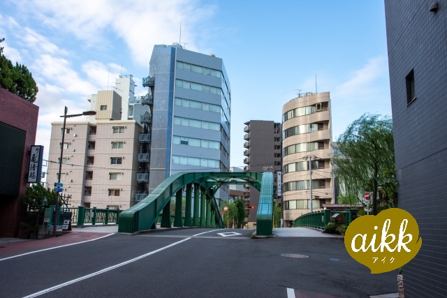 #NMNの散歩道（２０）―柳橋―
