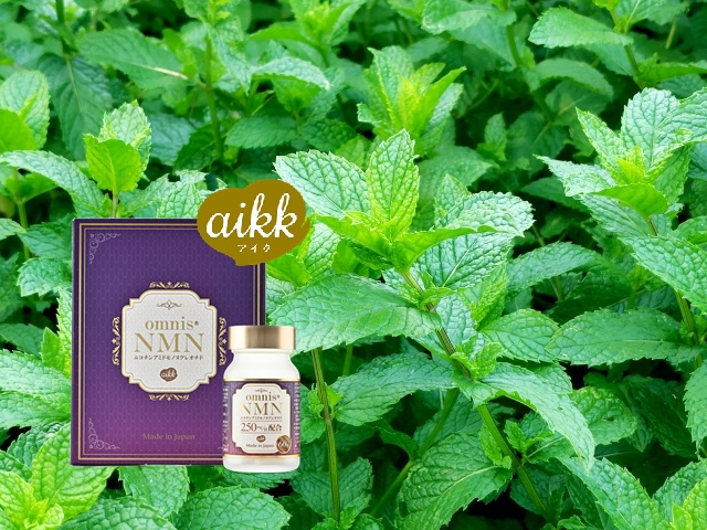 #NMNの散歩道（３６）―記憶の庭にて―