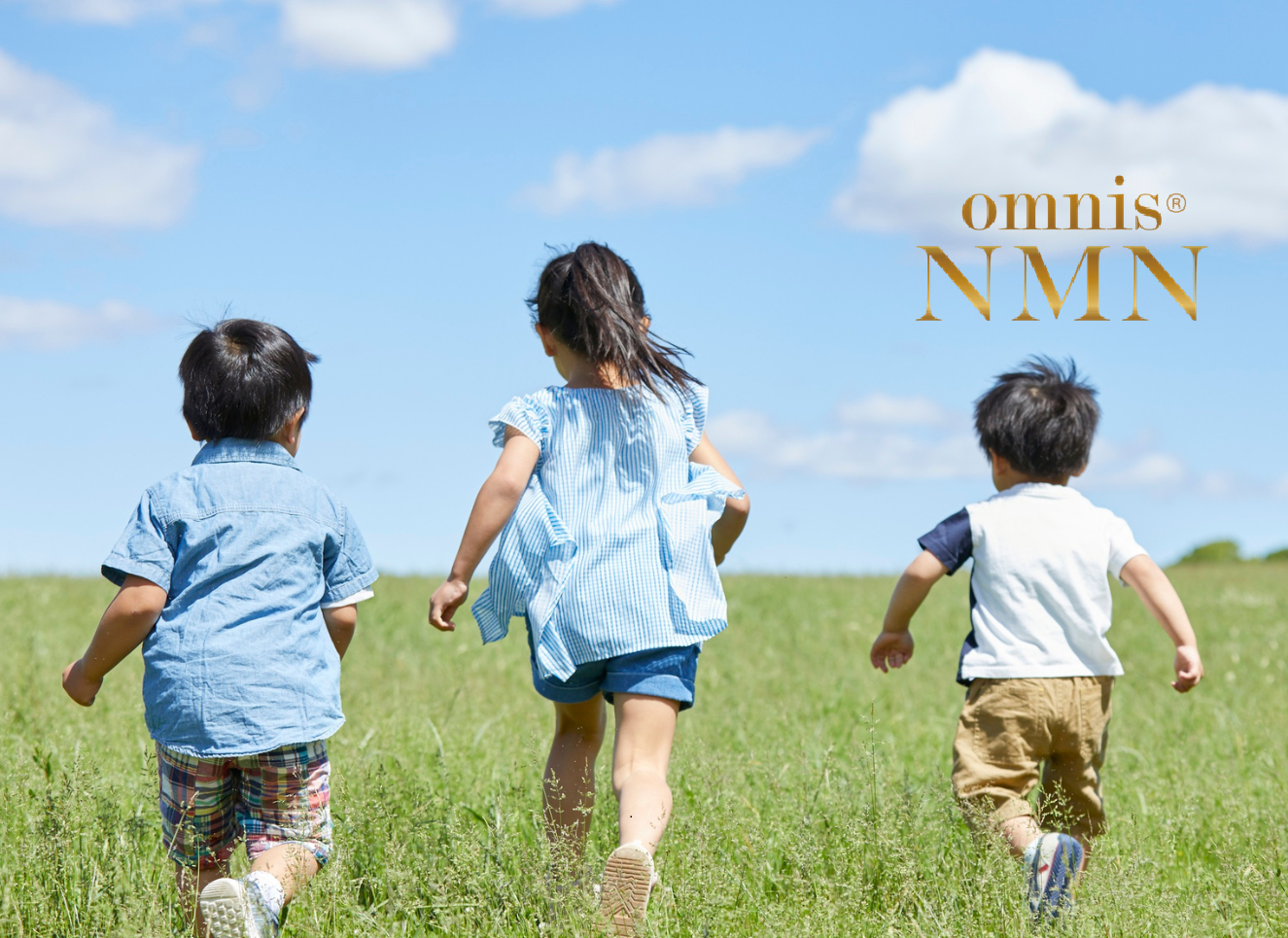 #NMNの散歩道（３１）―揺れる海の向こう―