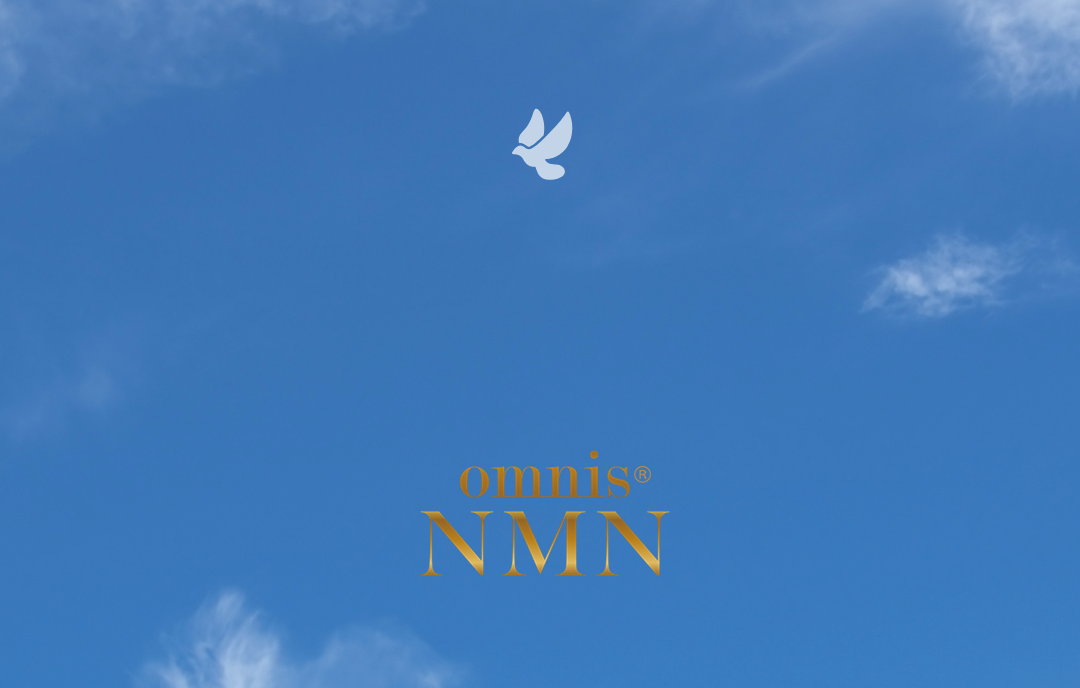 #NMNの散歩道（１７）―長崎の原爆に寄せて―