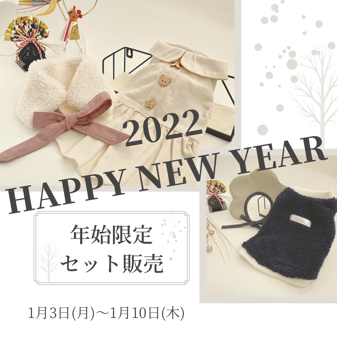 特別セット販売！