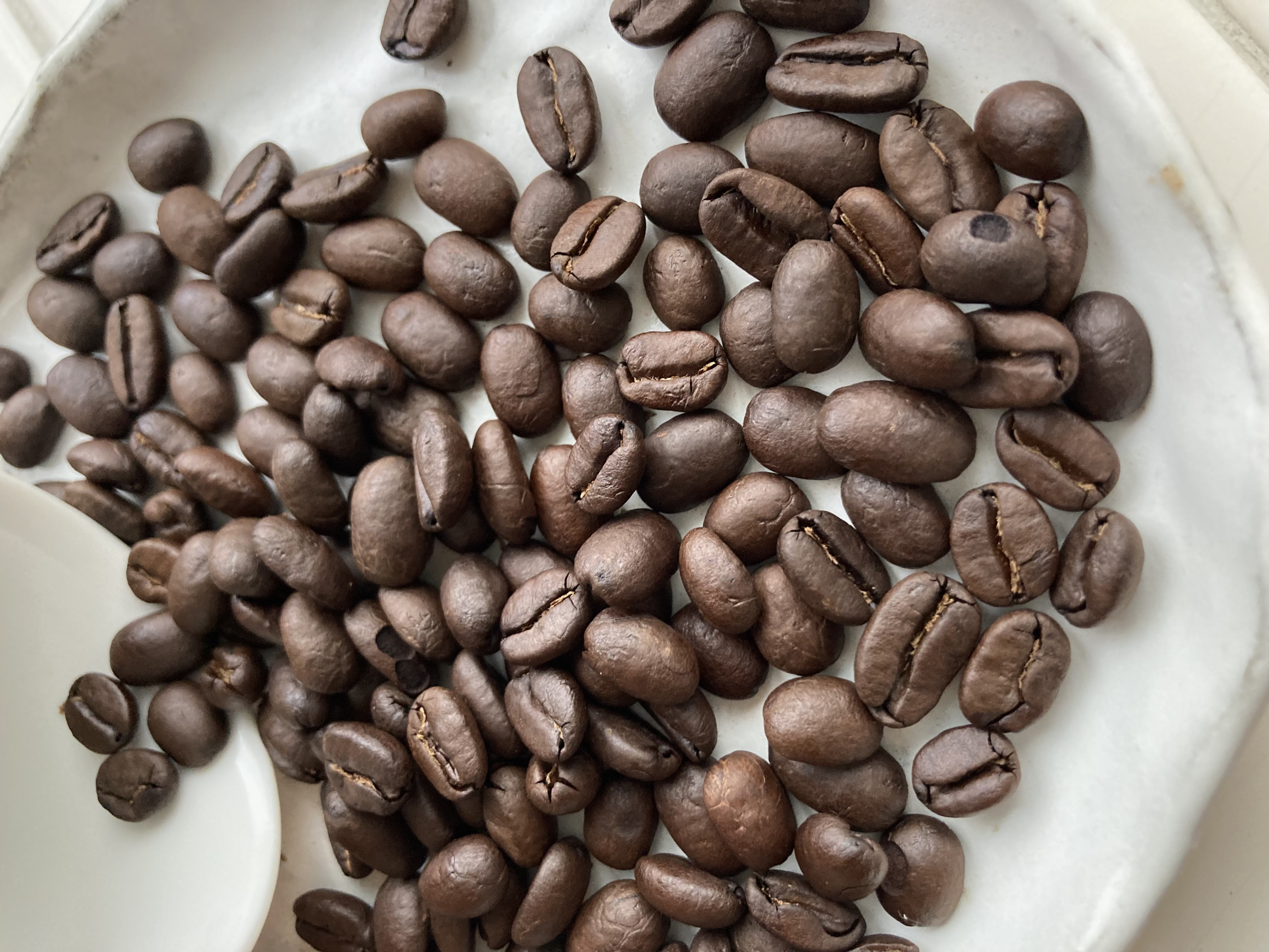 水出し？急冷？美味しいアイスコーヒーの作り方〜前編〜