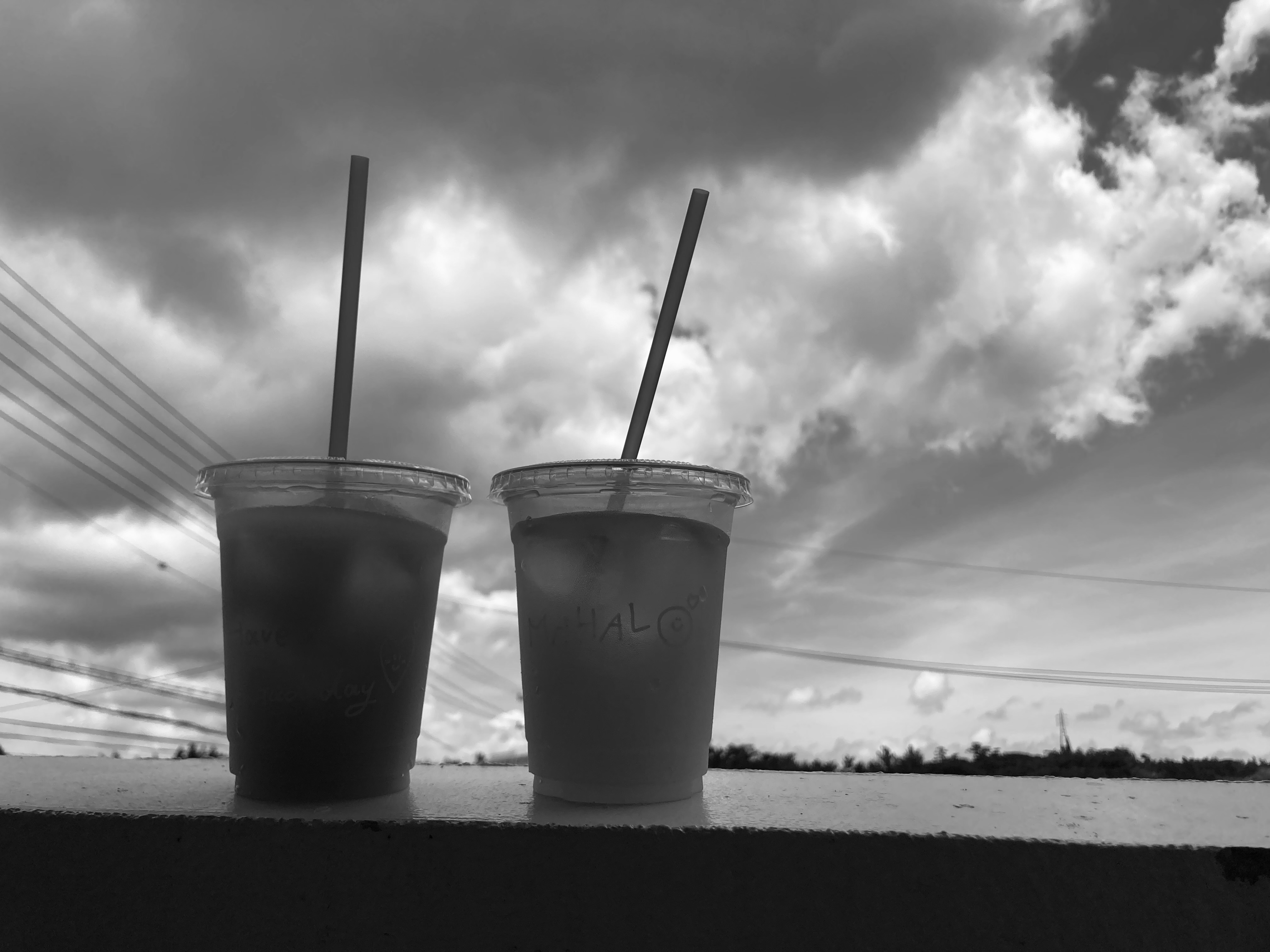 深煎りバリアラビカ神山ハニーで作る水氷出しコーヒー