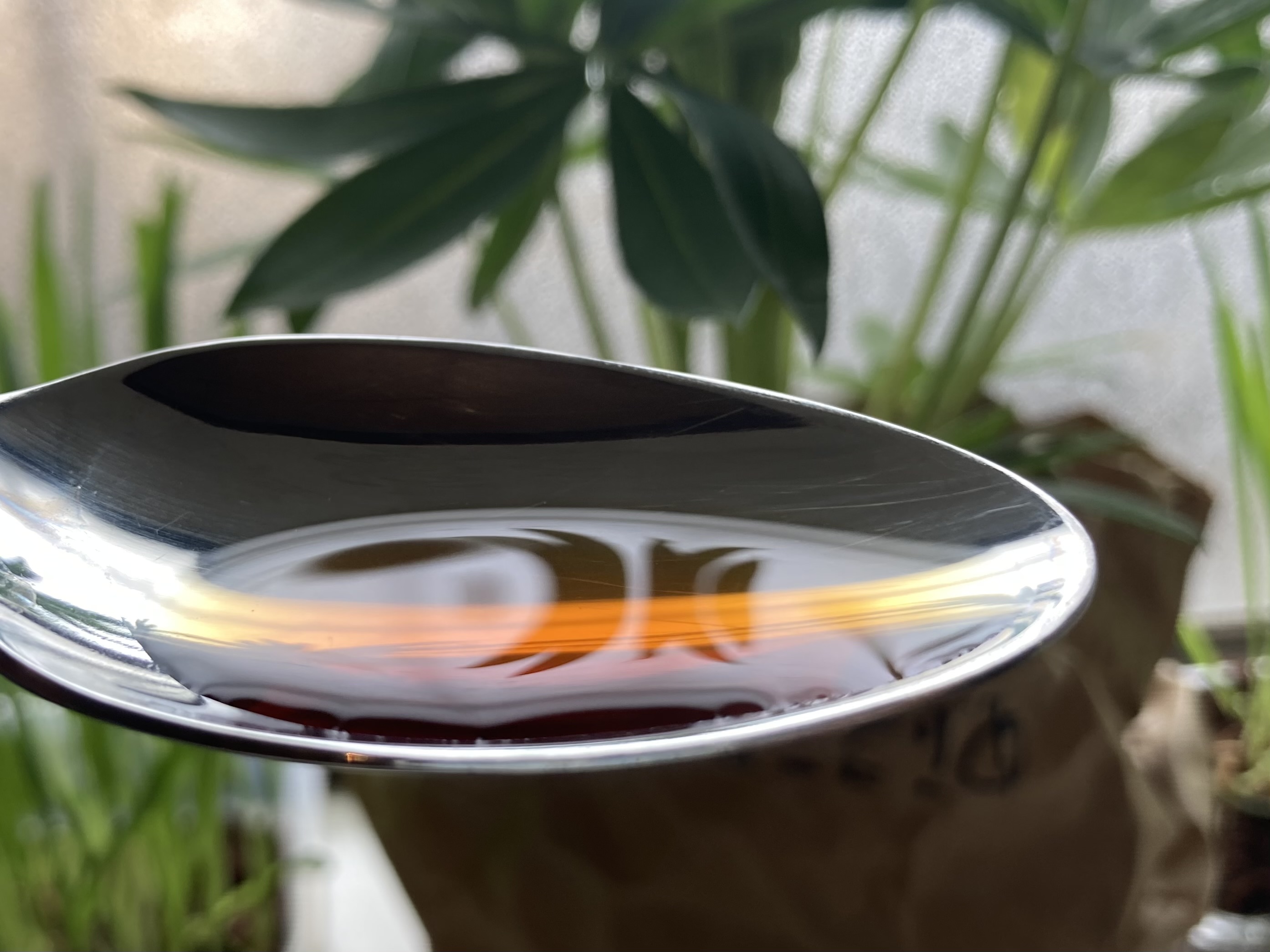 ふわっと上がる生豆の価格〜前編〜