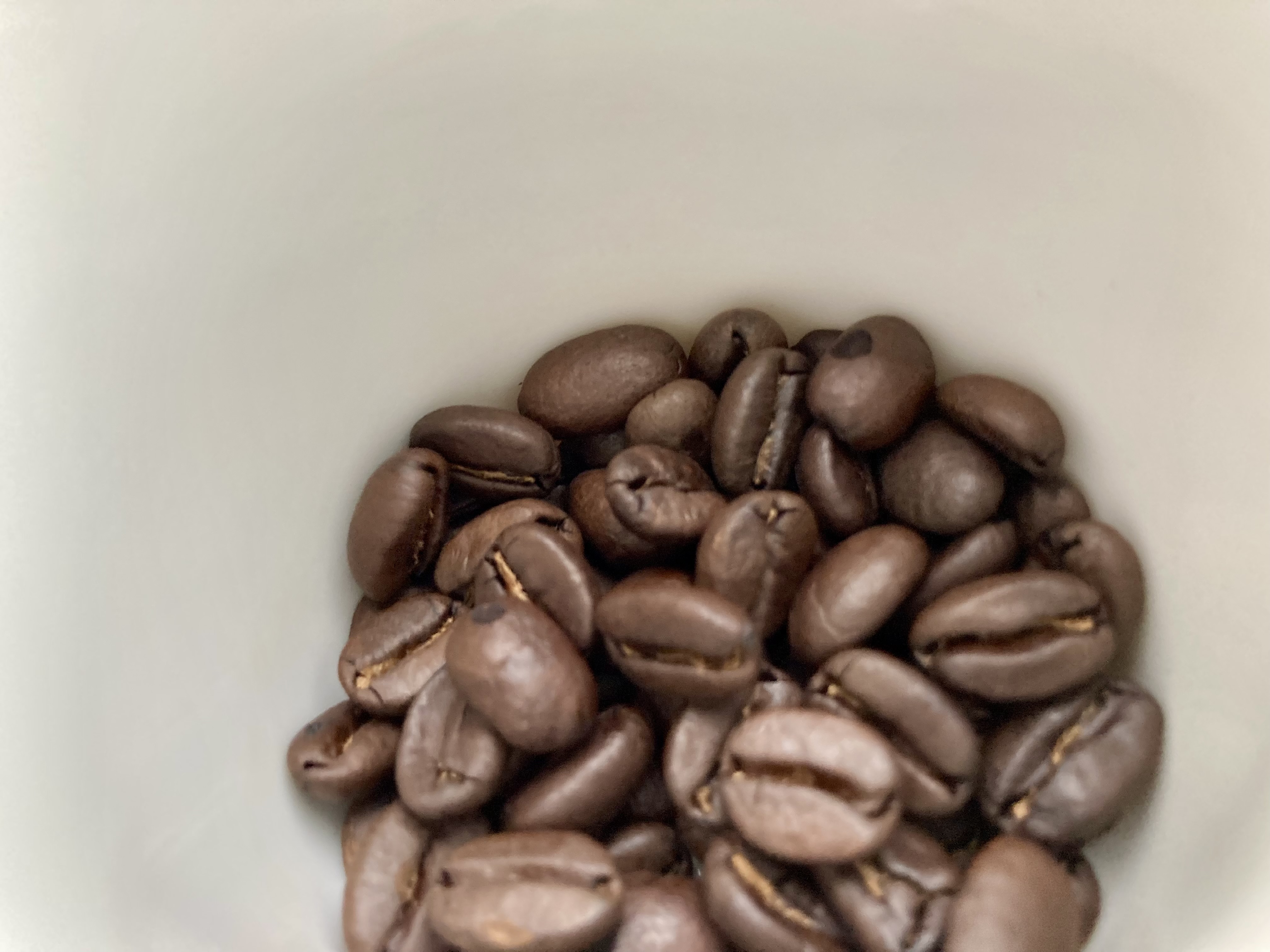 なぜアウトドアのコーヒーは美味しいのか？〜後編〜