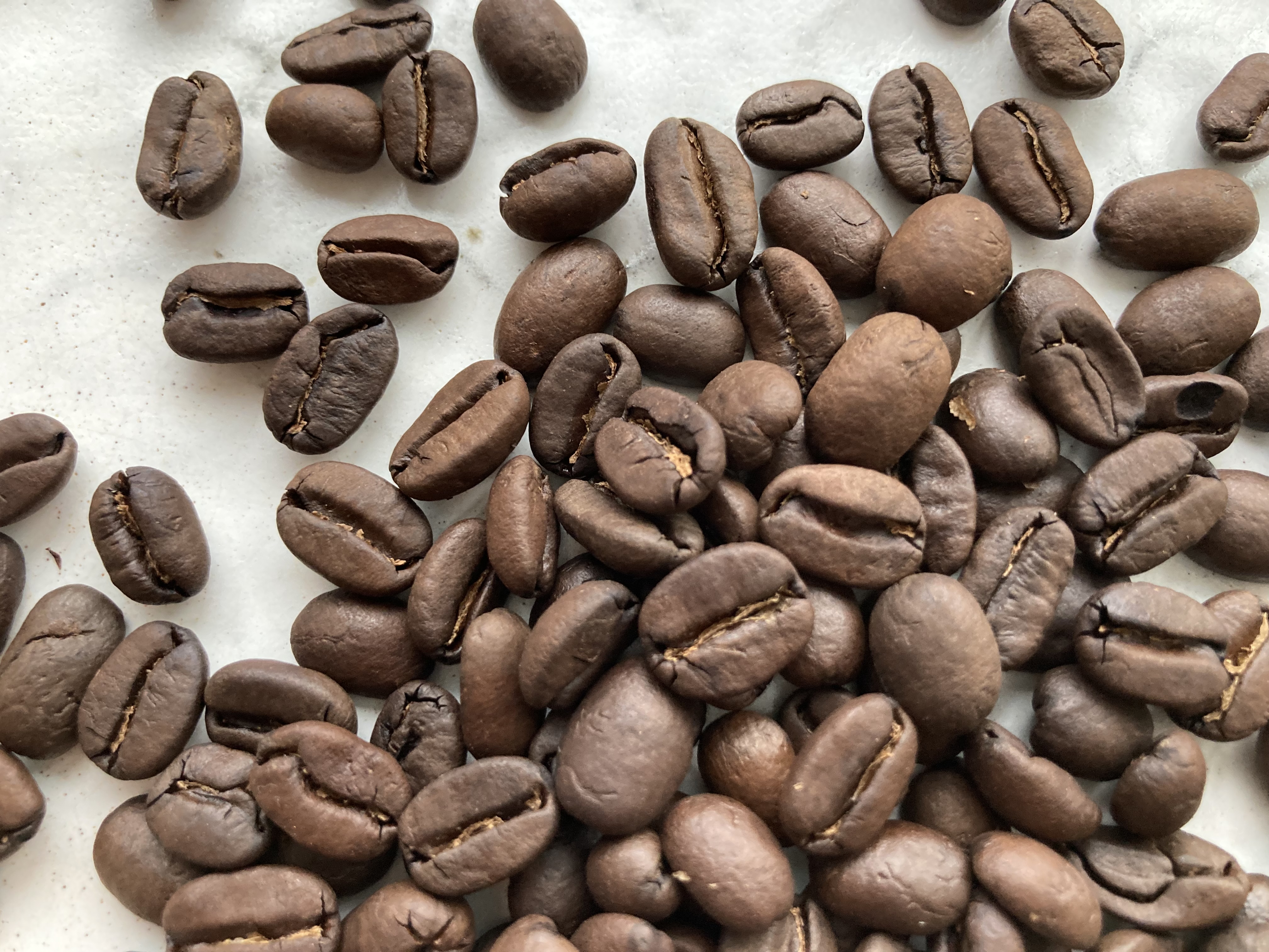 なぜアウトドアのコーヒーは美味しいのか？〜中編〜