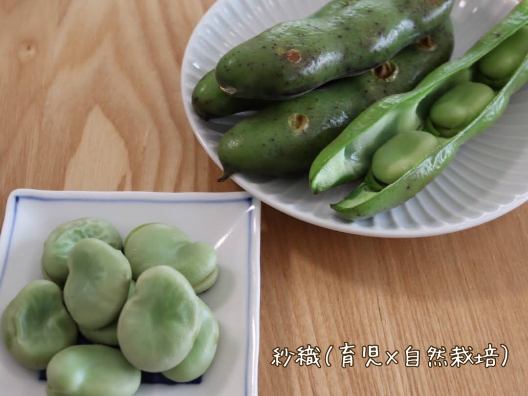 自然栽培のそら豆美味しかったー！（おすすめの食べ方も紹介）