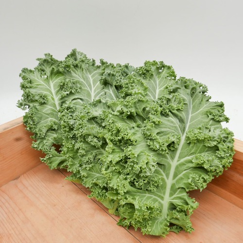 【新東京野菜って、なに❓】