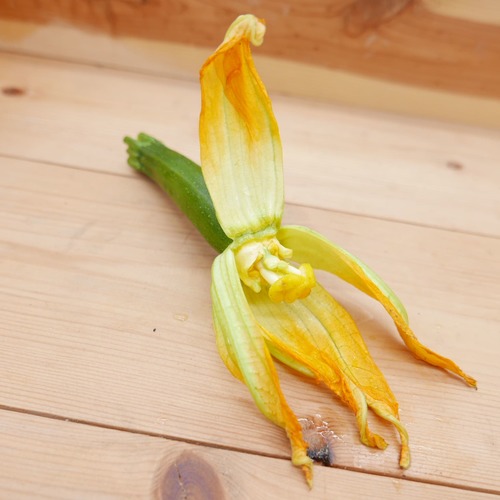 花付きのお野菜です。