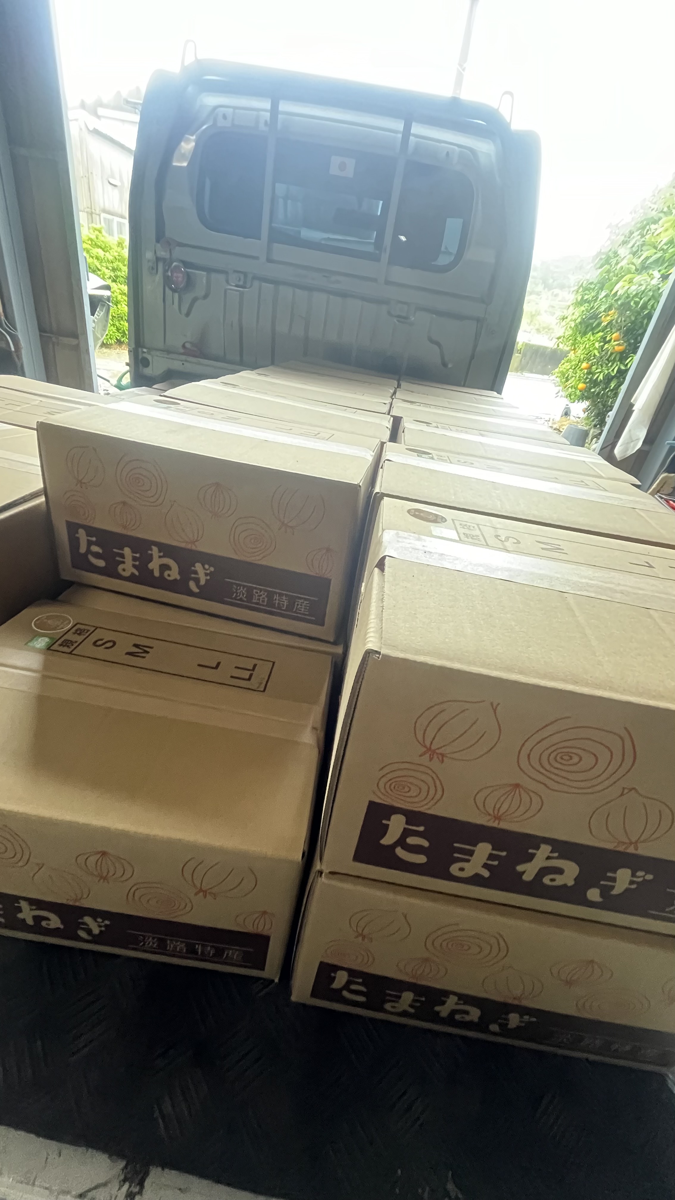 七宝販売5/14までとなります