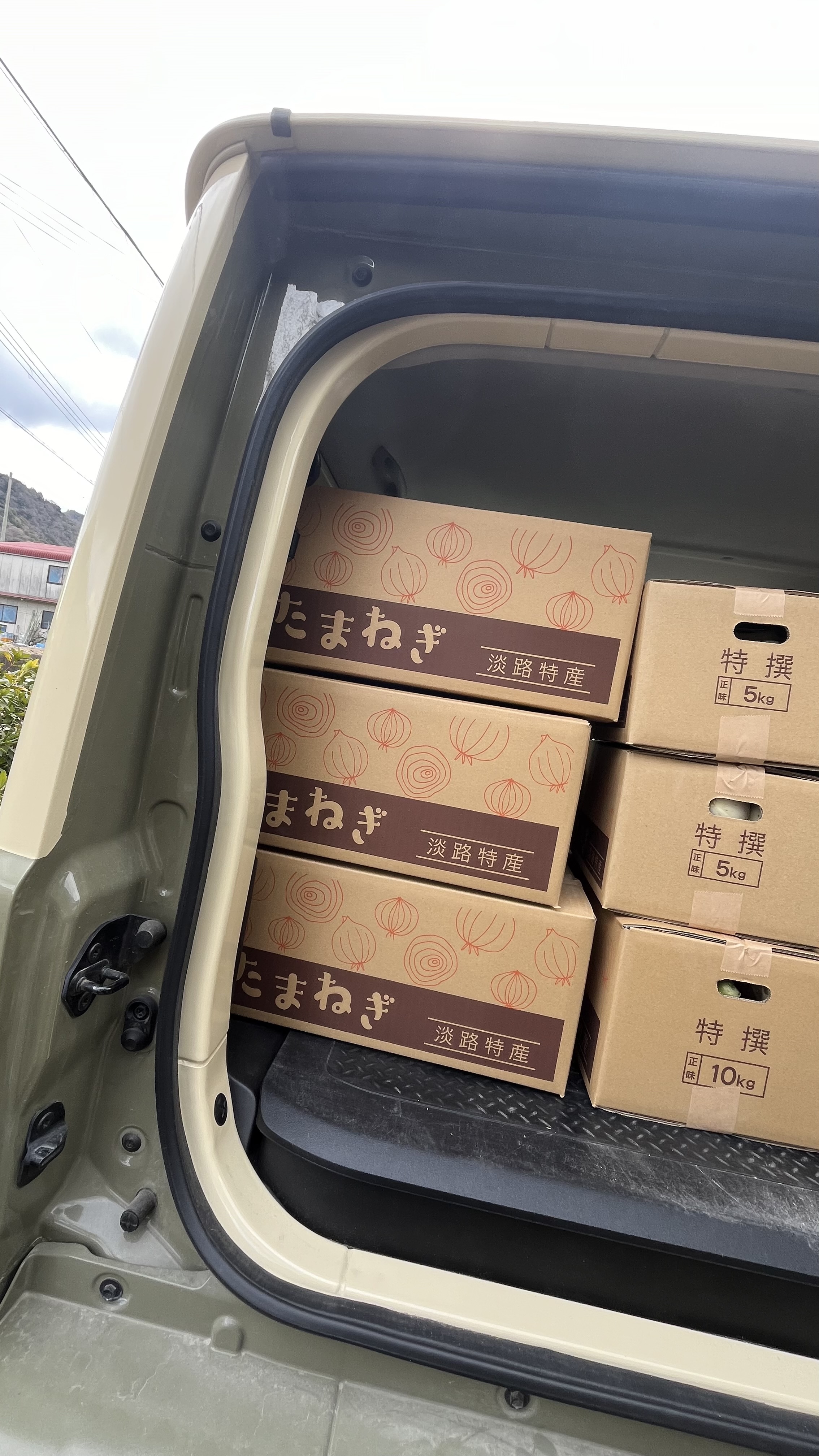 発送状況と遅延について