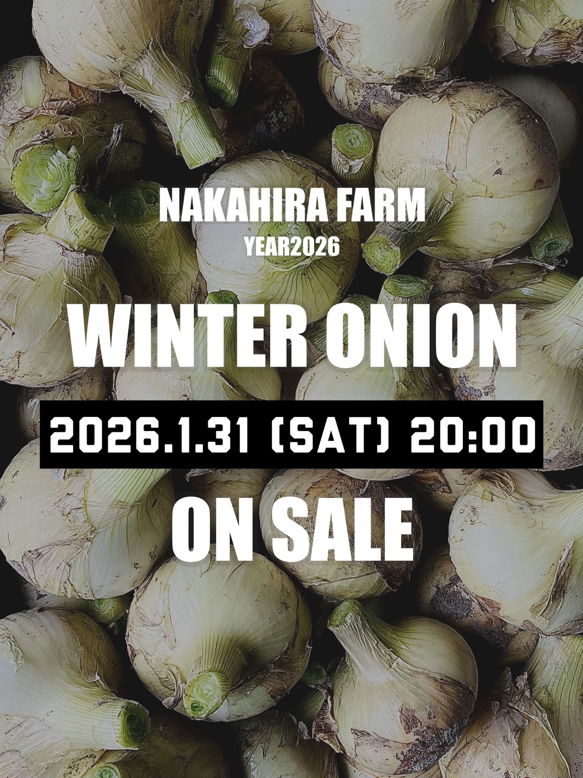 冬玉販売スタートします！