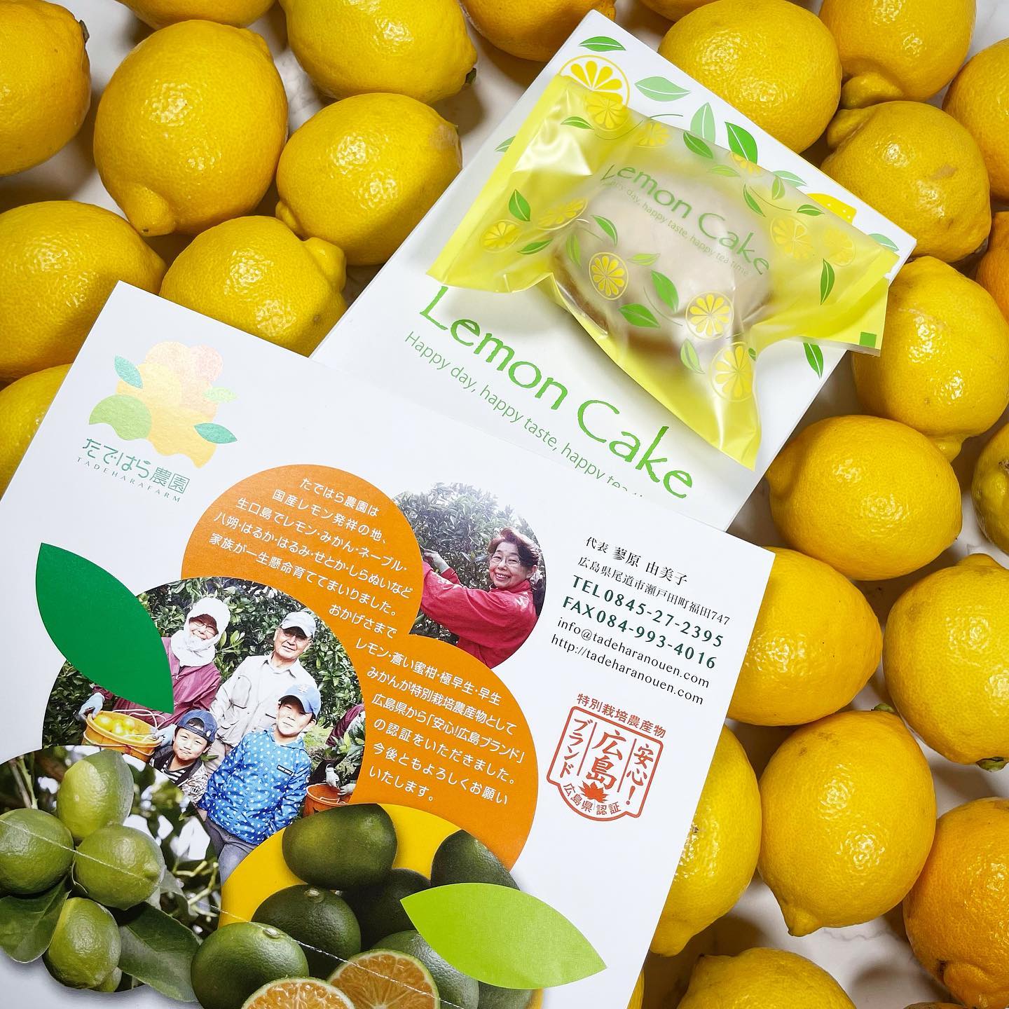 「瀬戸内レモン」が届きました🍋