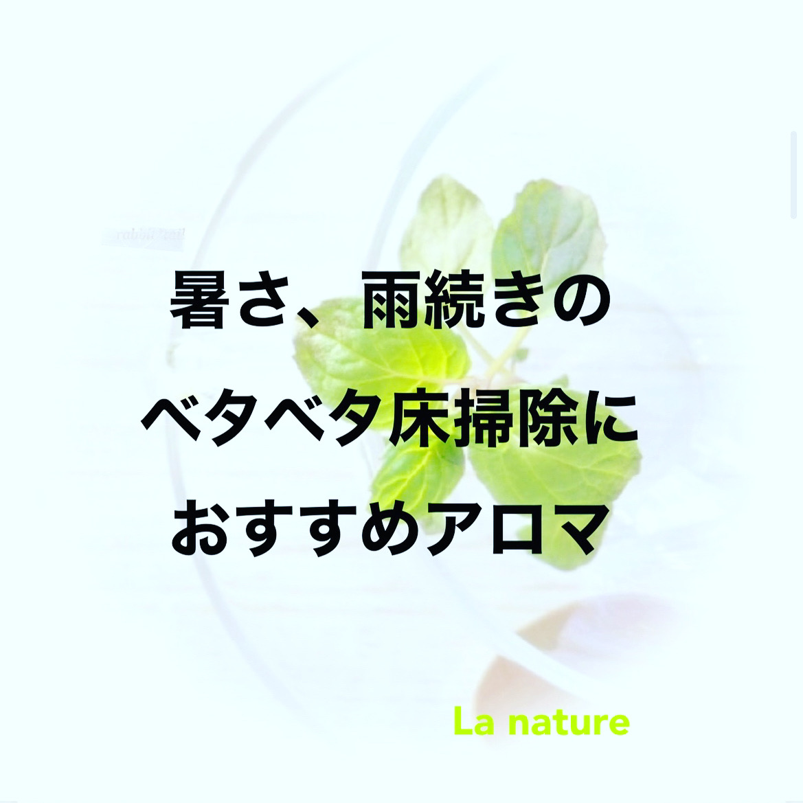 夏の床掃除におすすめ♡
