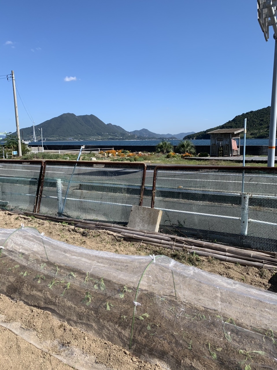 しまなみ海道　島暮らし（その４）