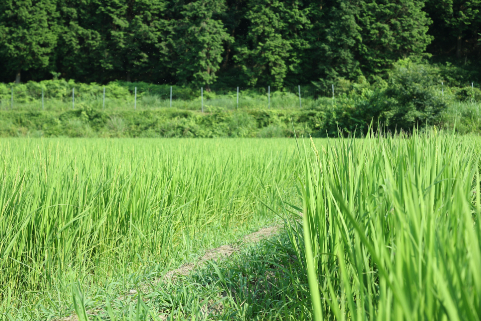 ～　今後の温暖化対策　～