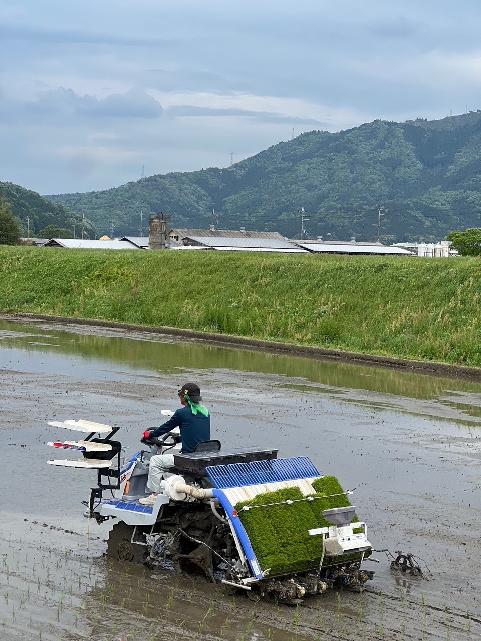 ～2026年度　田植え無事終了　～
