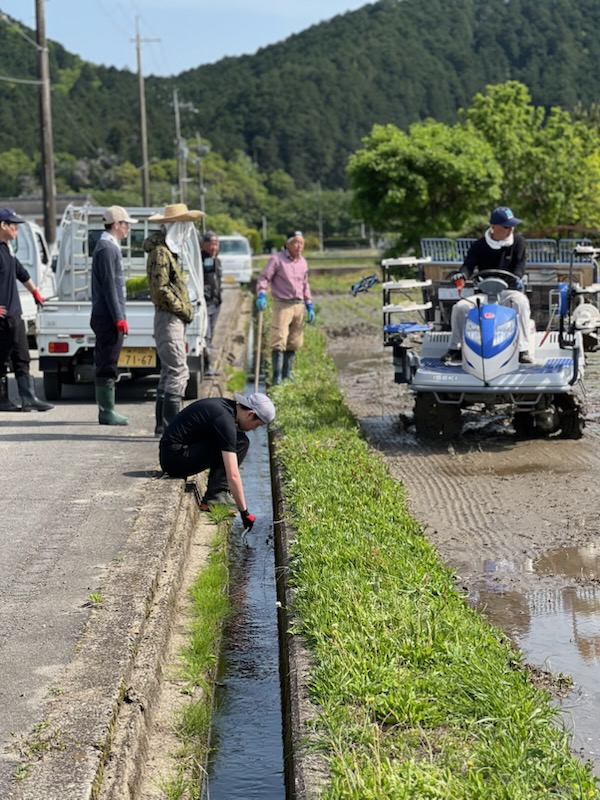 ～　２０２５年産　田植え無事終了　～