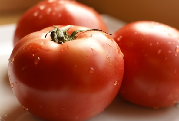 そらくも農場の丸まるピカピカで香り高いトマトをほおばろう！