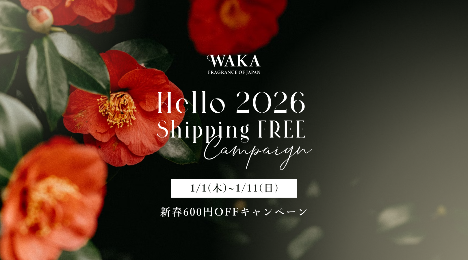 新春600円OFFセール実施