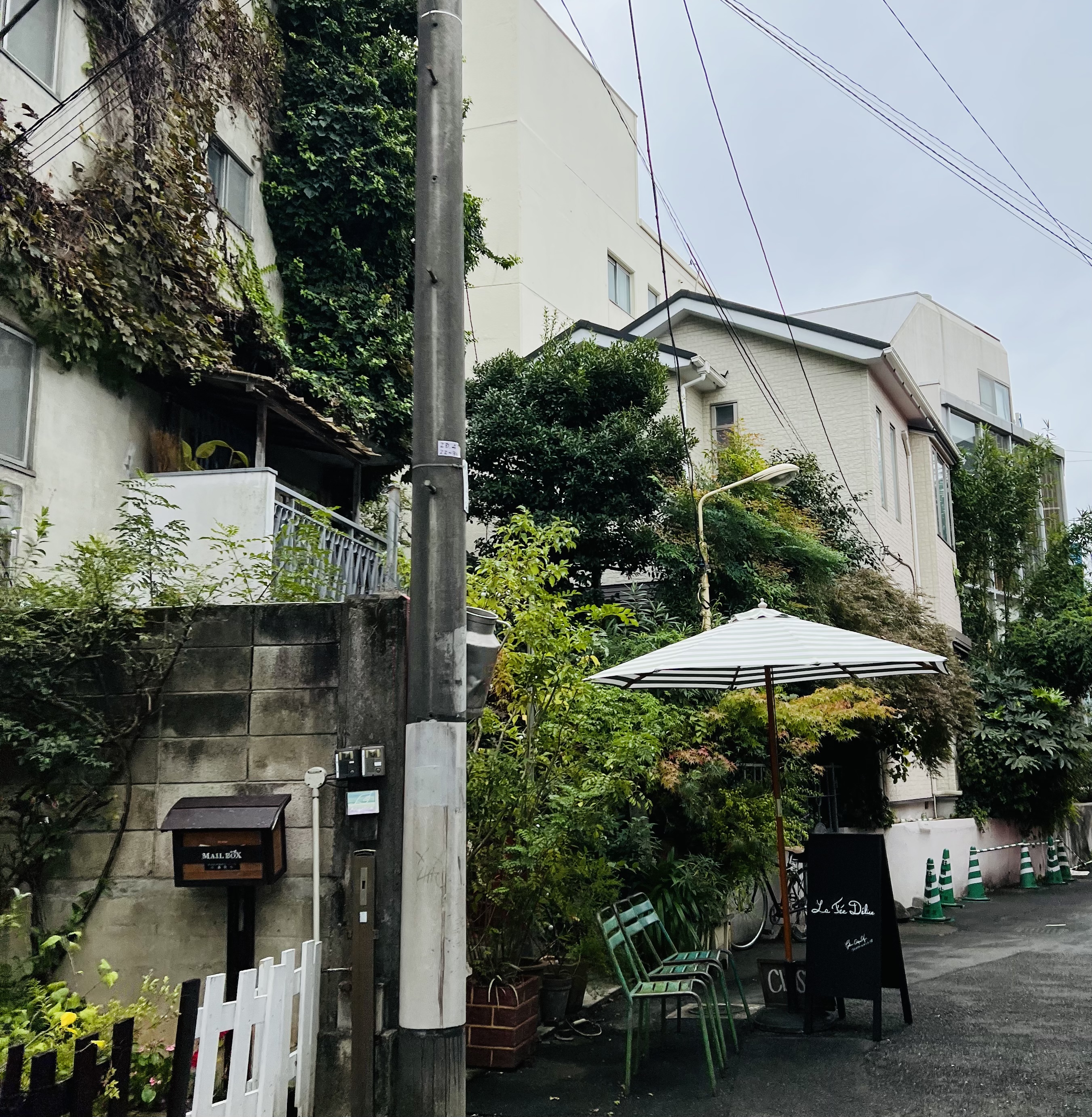 10月19日（火）おはようございます！☁️☂️