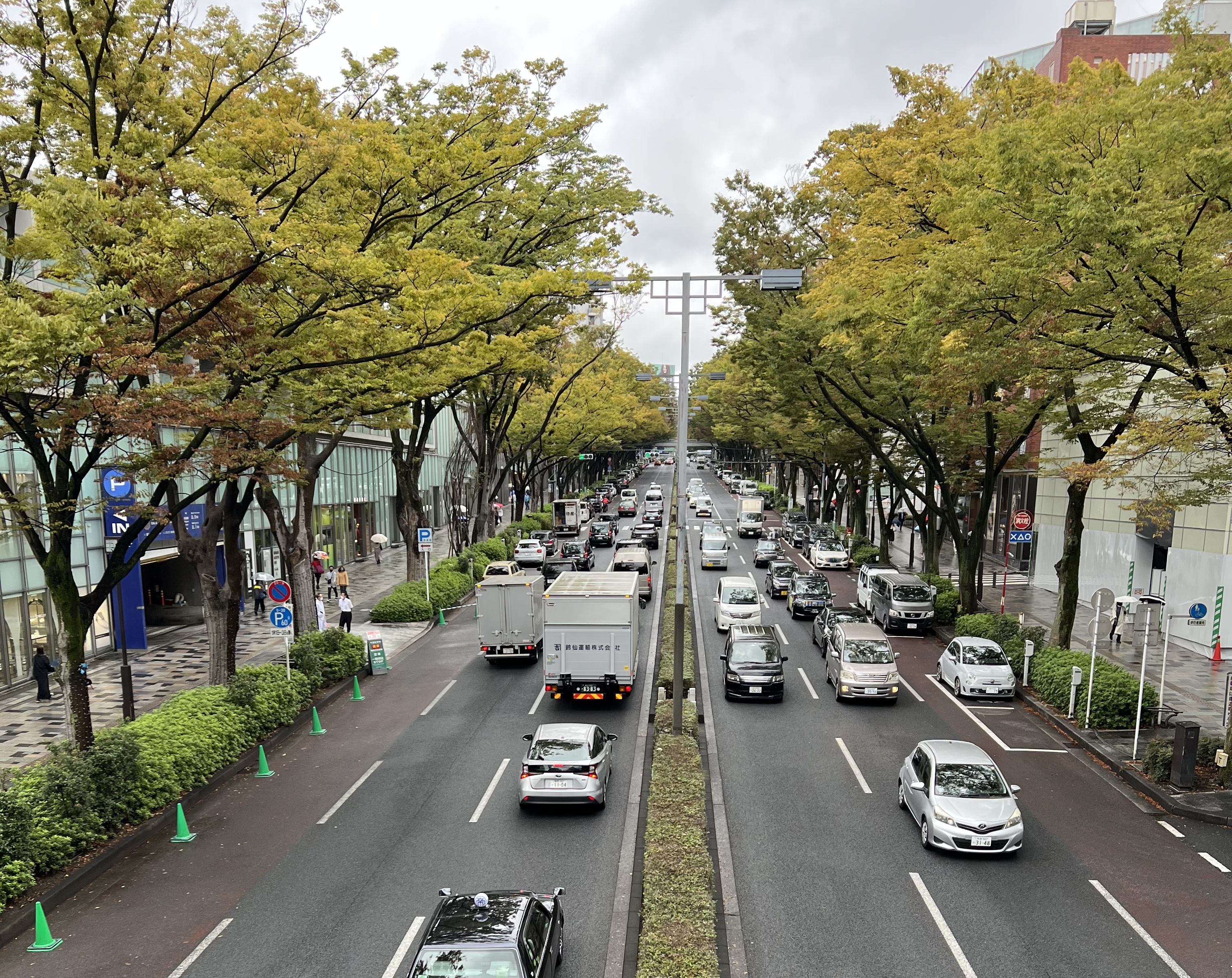 10月13日（水）おはようございます☂️