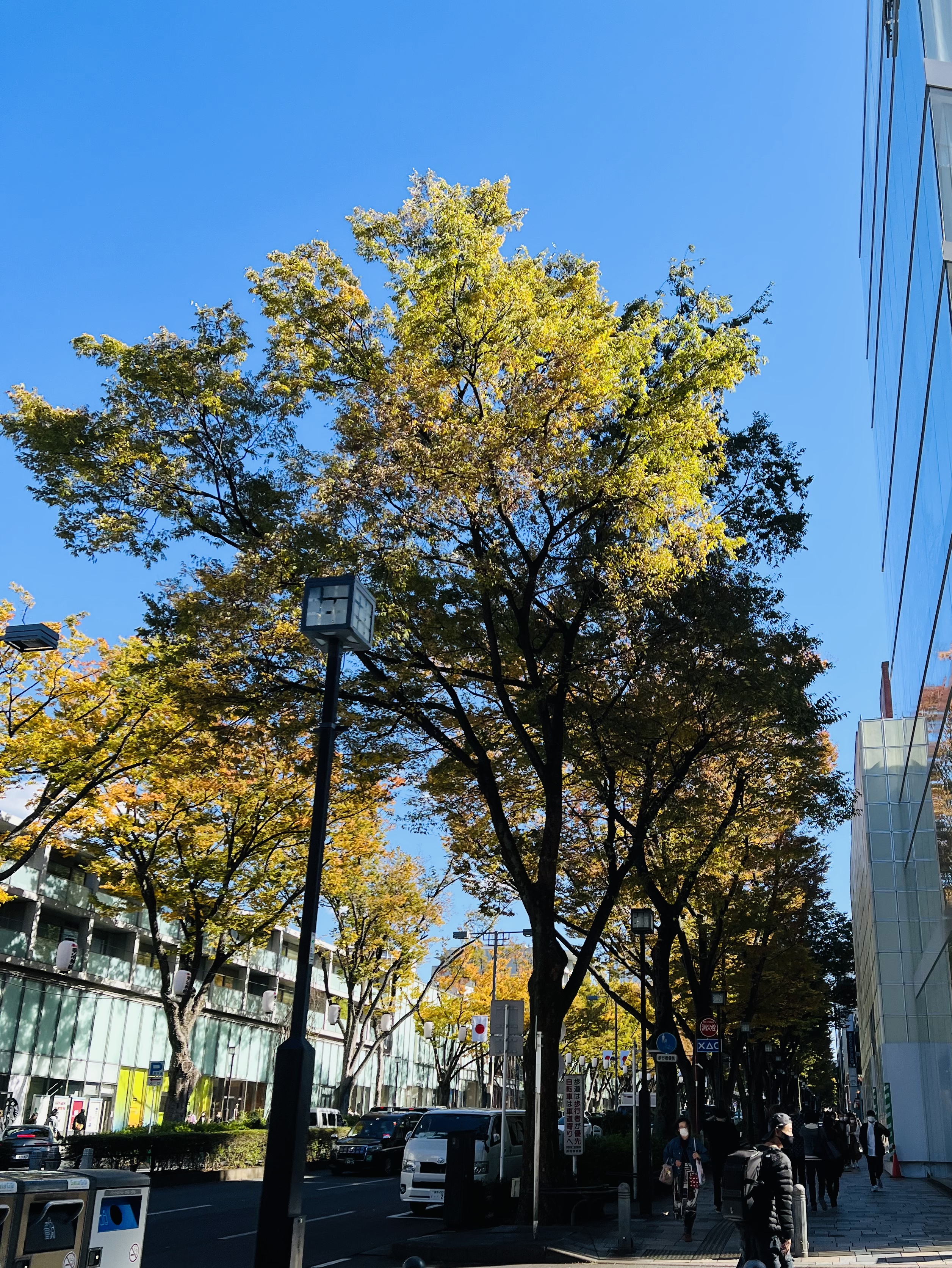 10月29日（金）おはようございます！☀️☀️☀️
