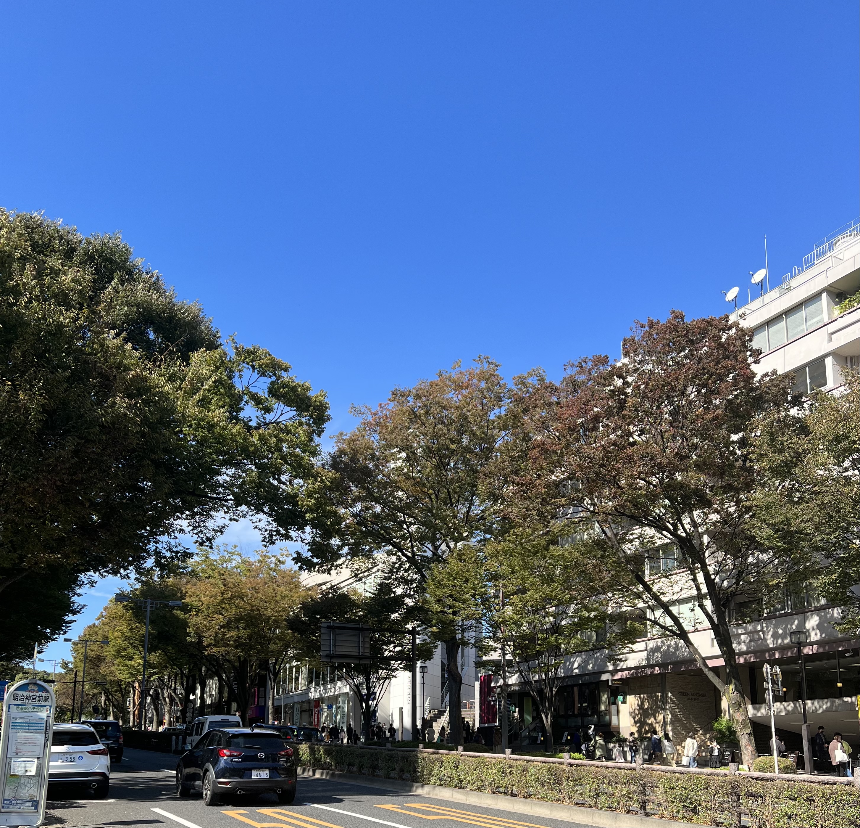 10月24日（日）おはようございます！☀️