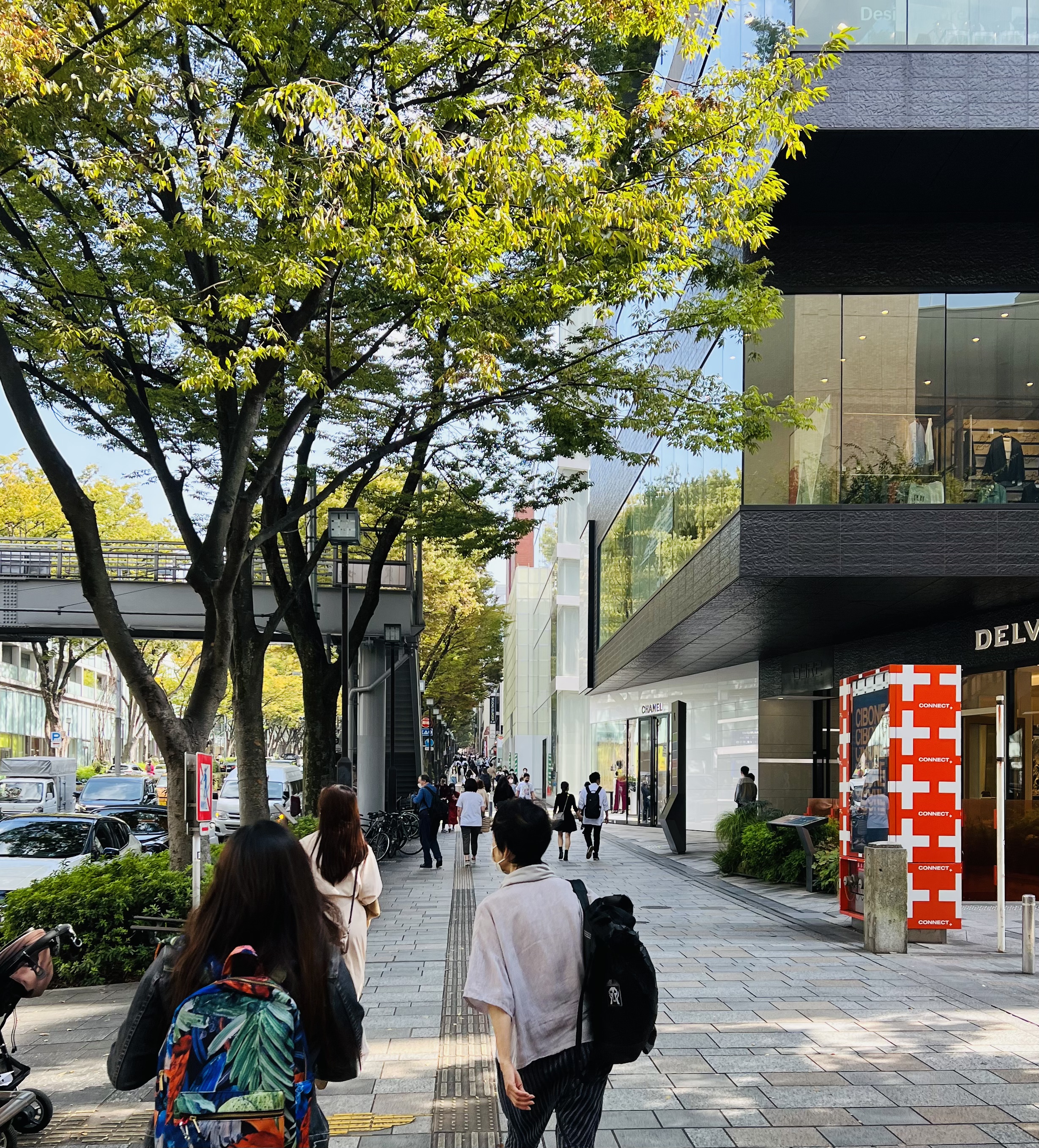 10月15日（金）おはようございます！🌤
