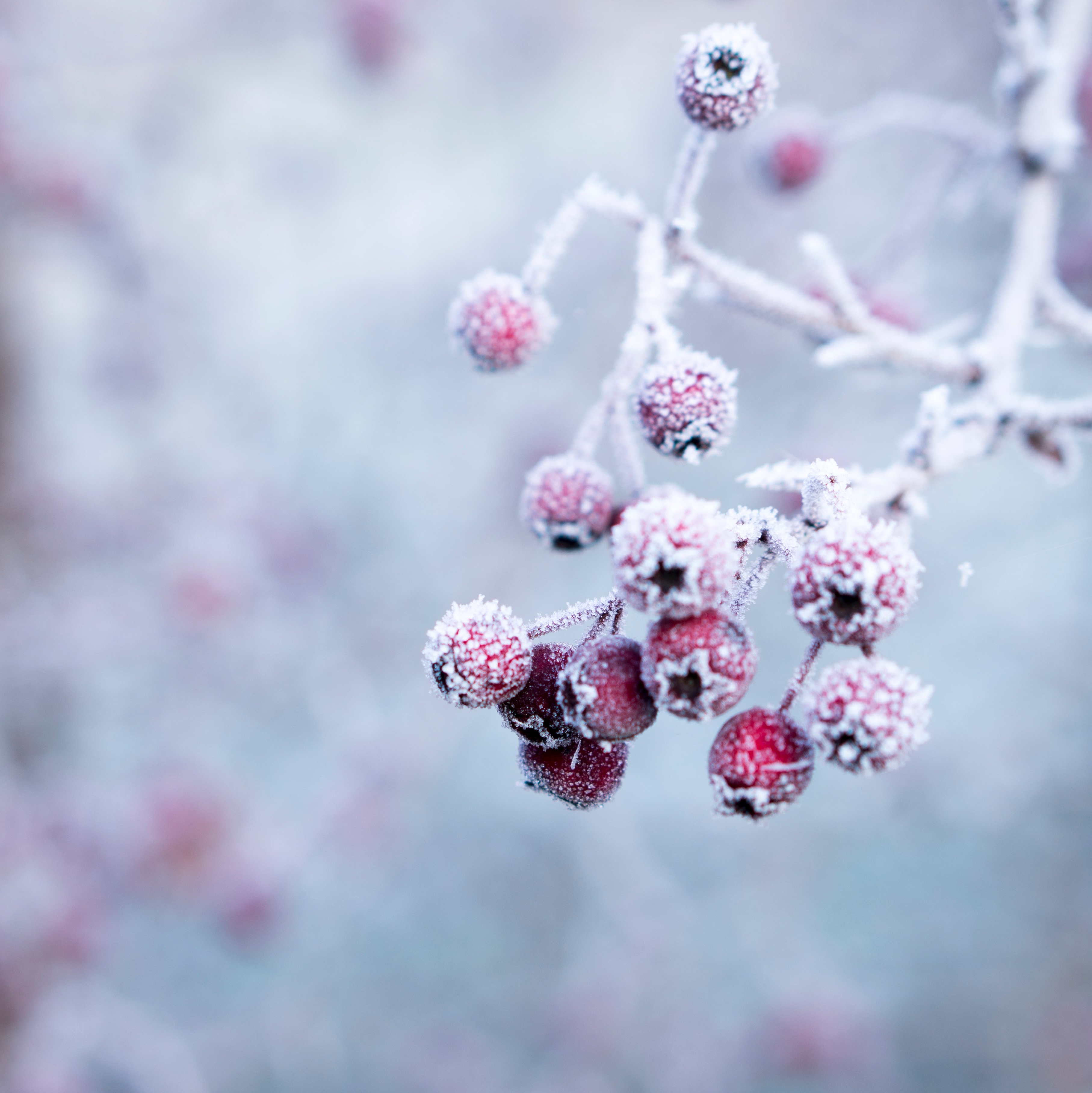 海外取引先メーカー長期休暇に伴う配送についてのお知らせ