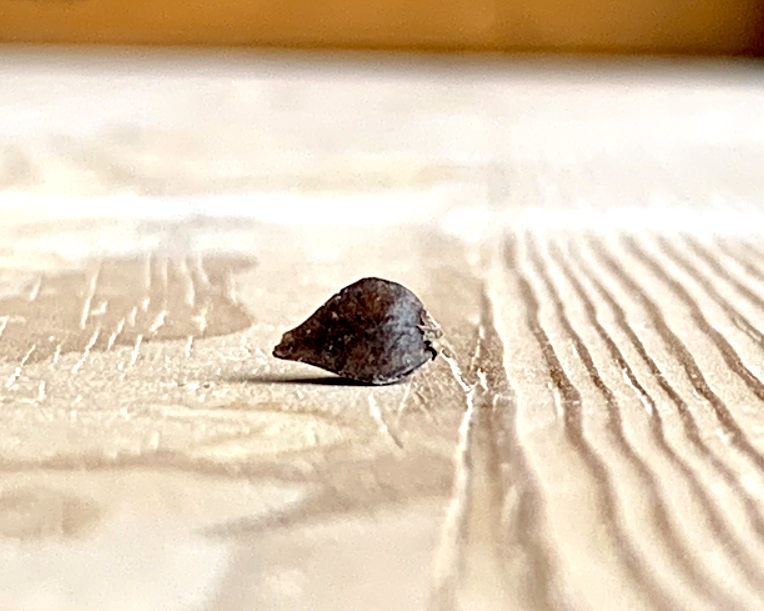 寒ざらし熟成