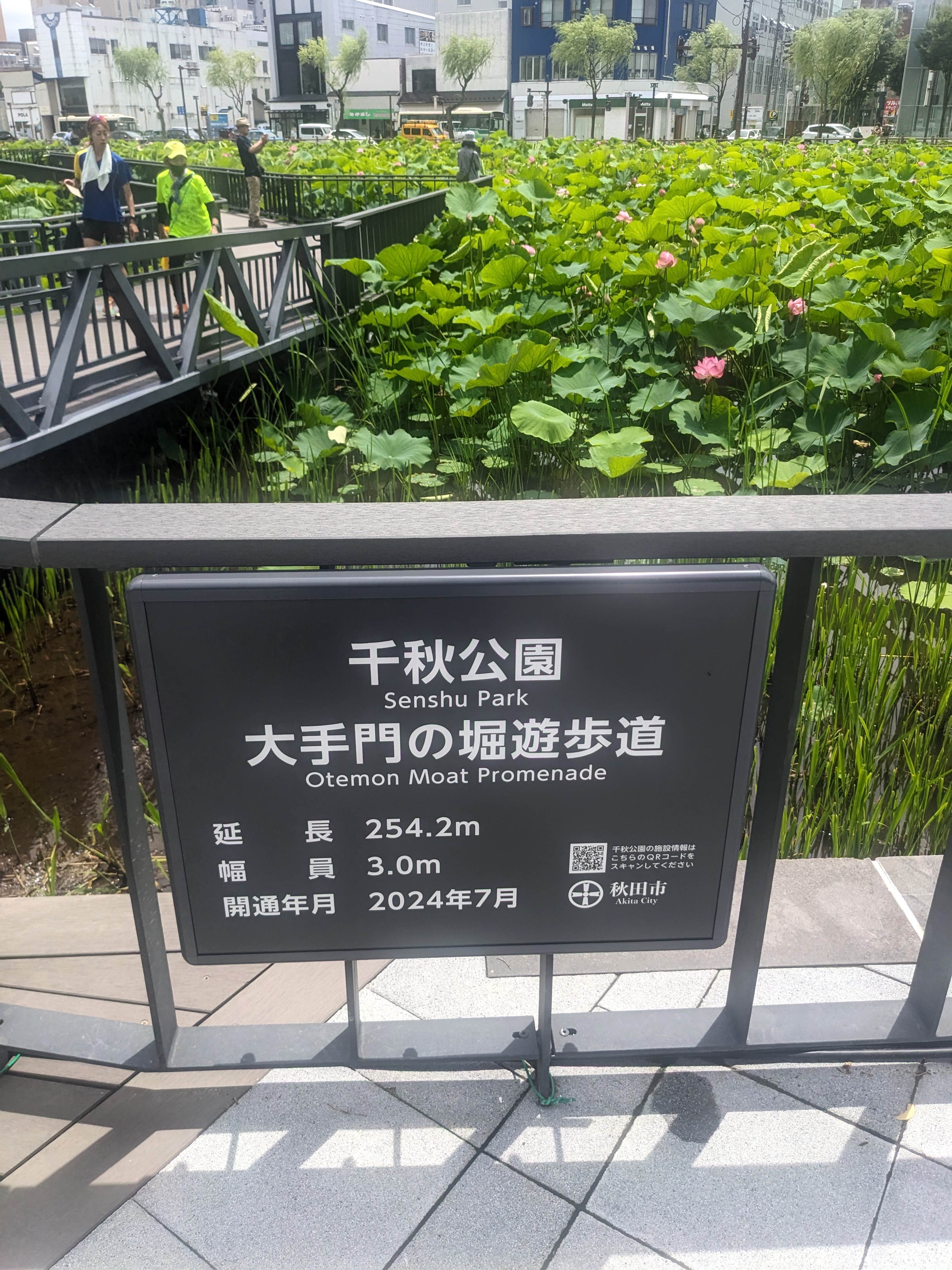 はじまりました!!!  7月 3連休 初日は晴れました‼❣️