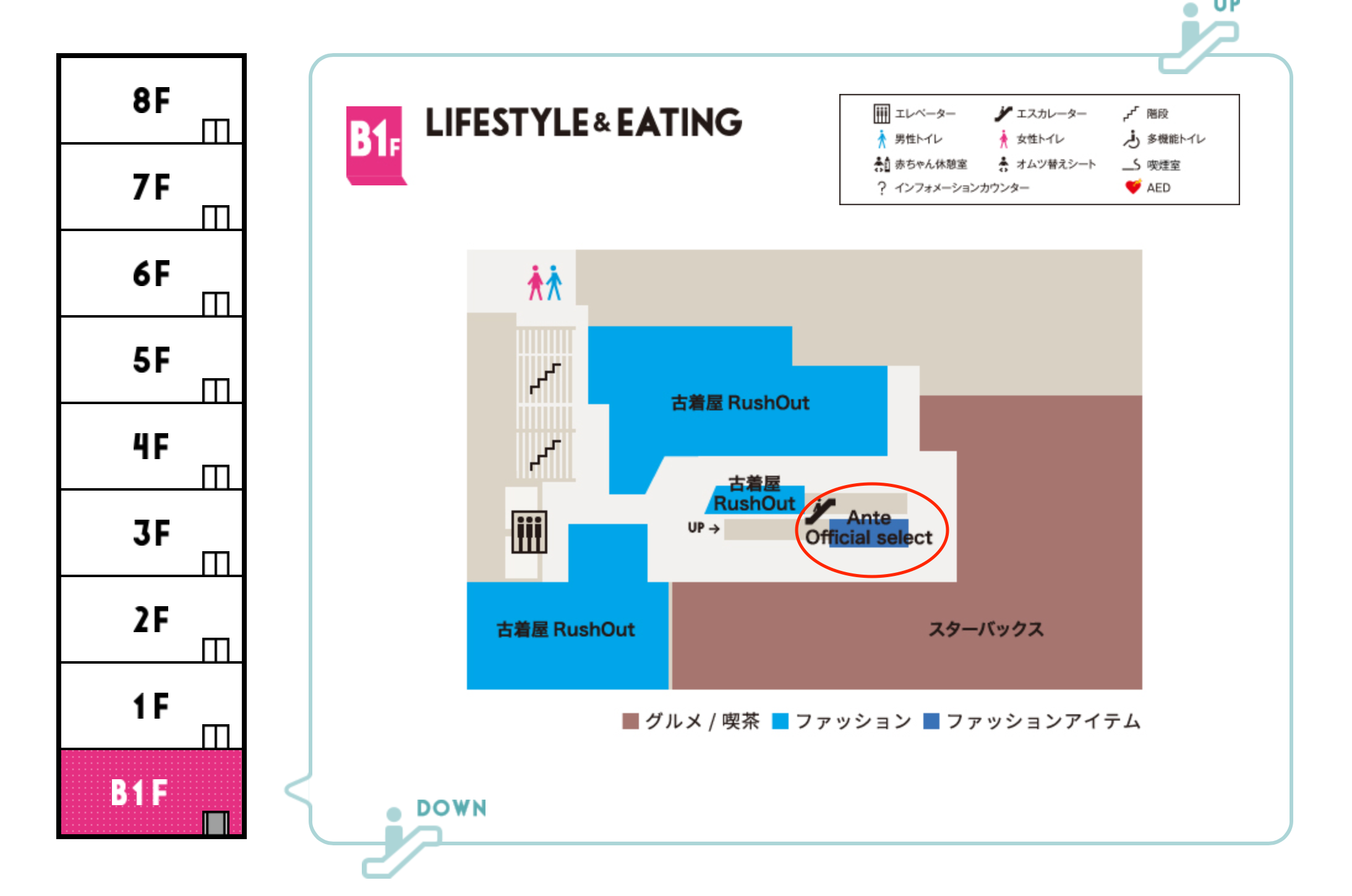 銀座店のご案内