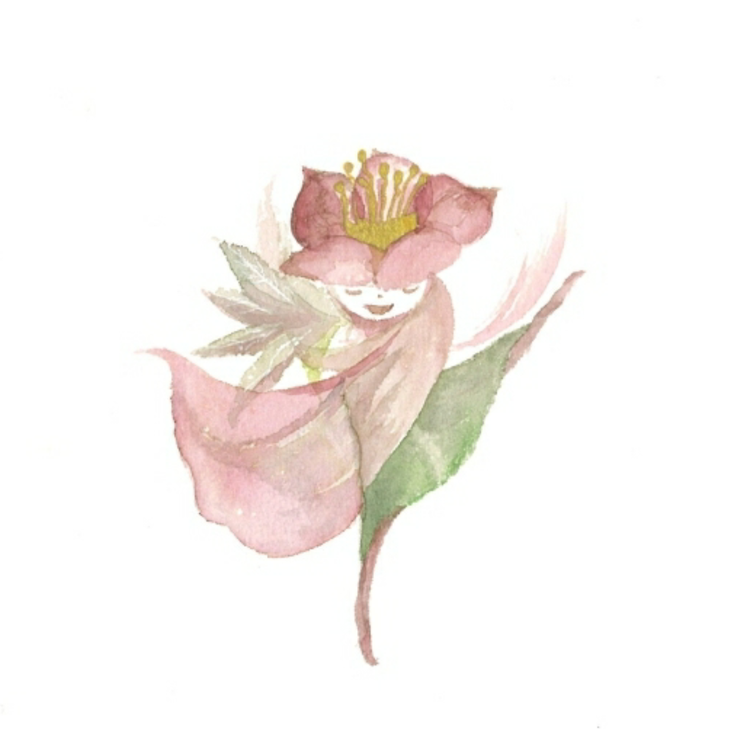 SACHIBOCKLE/ さちぼっくる　Official site