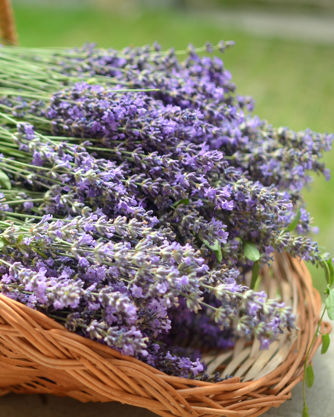 夏季休業のお知らせ