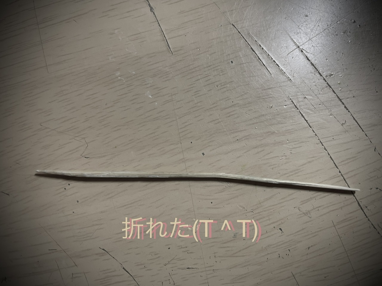 やったね(･_･;