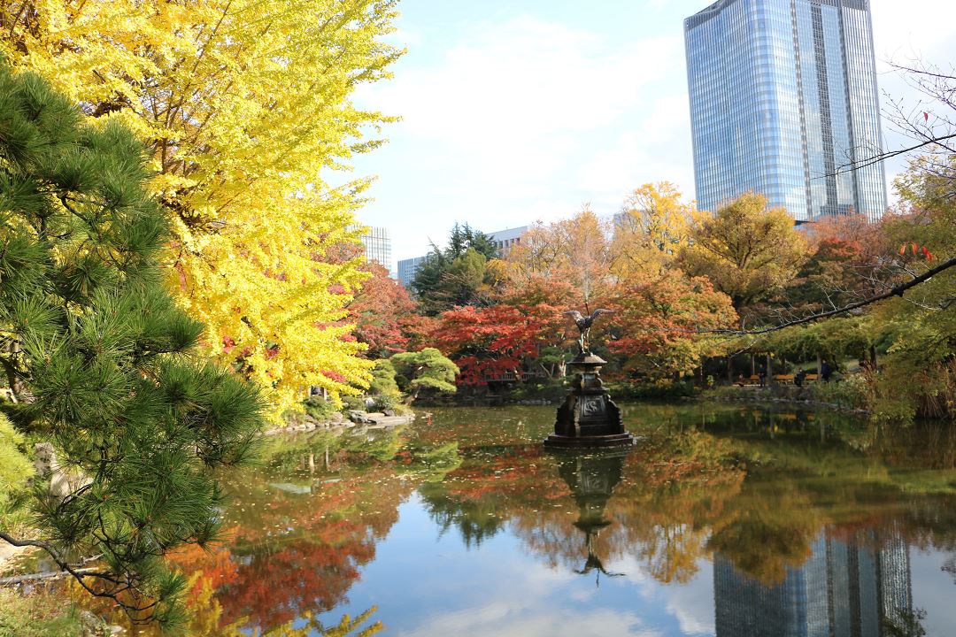 2022年の東京の紅葉の見頃は11月下旬～！千代田区の「秋の紅葉スポット」6選