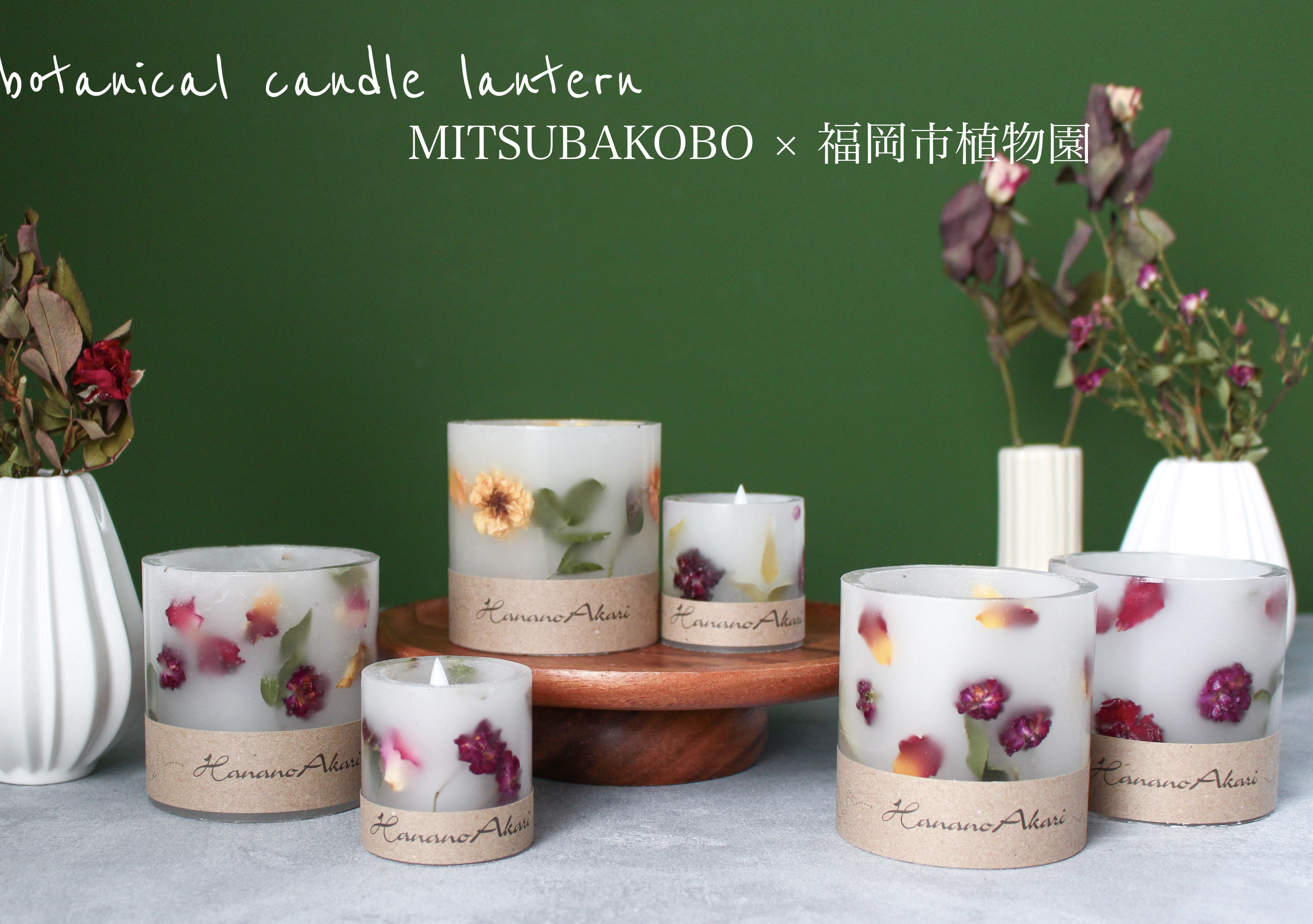 【お知らせ】福岡市植物園　ランタン販売