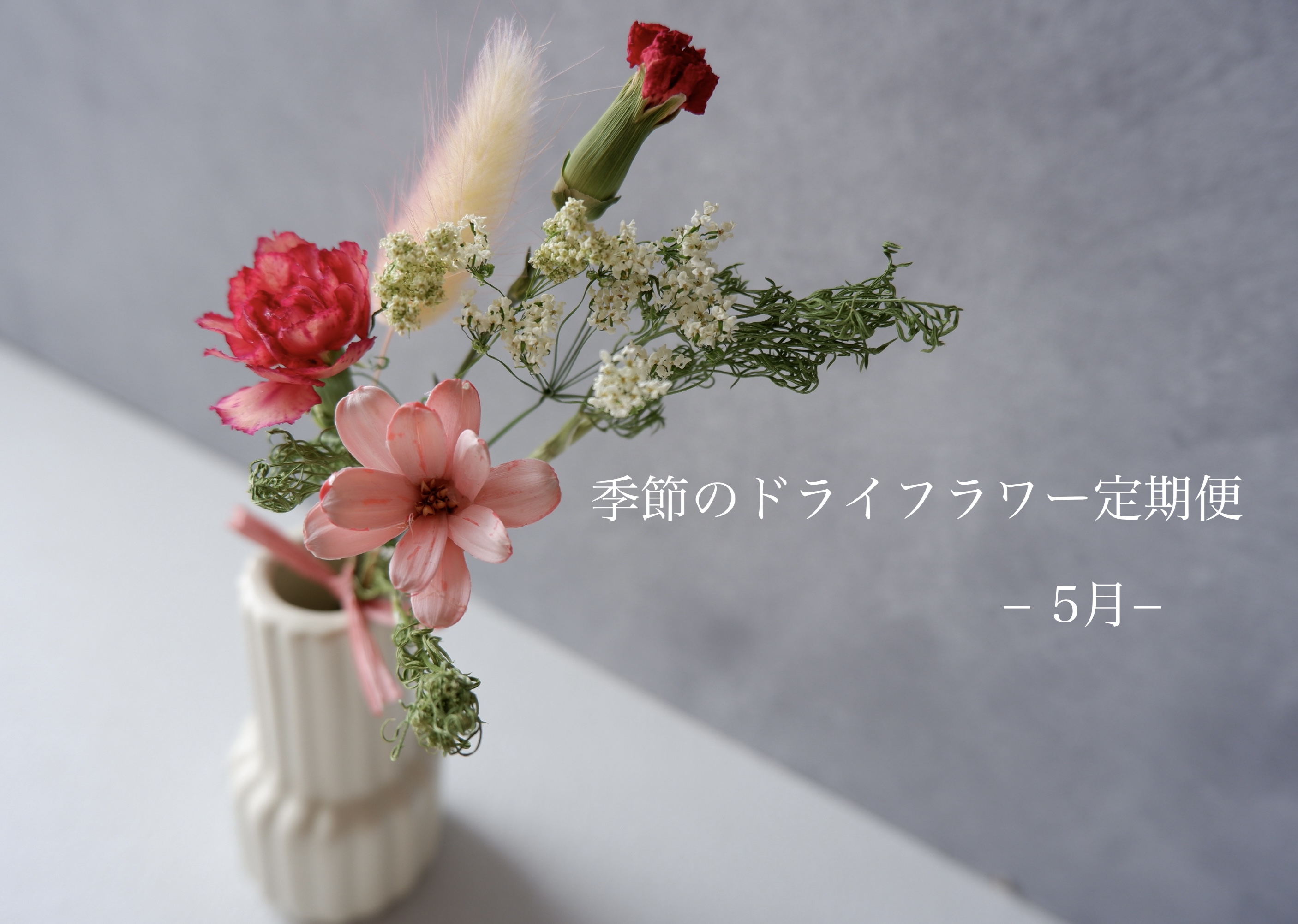 季節のドライフラワー定期便 5月