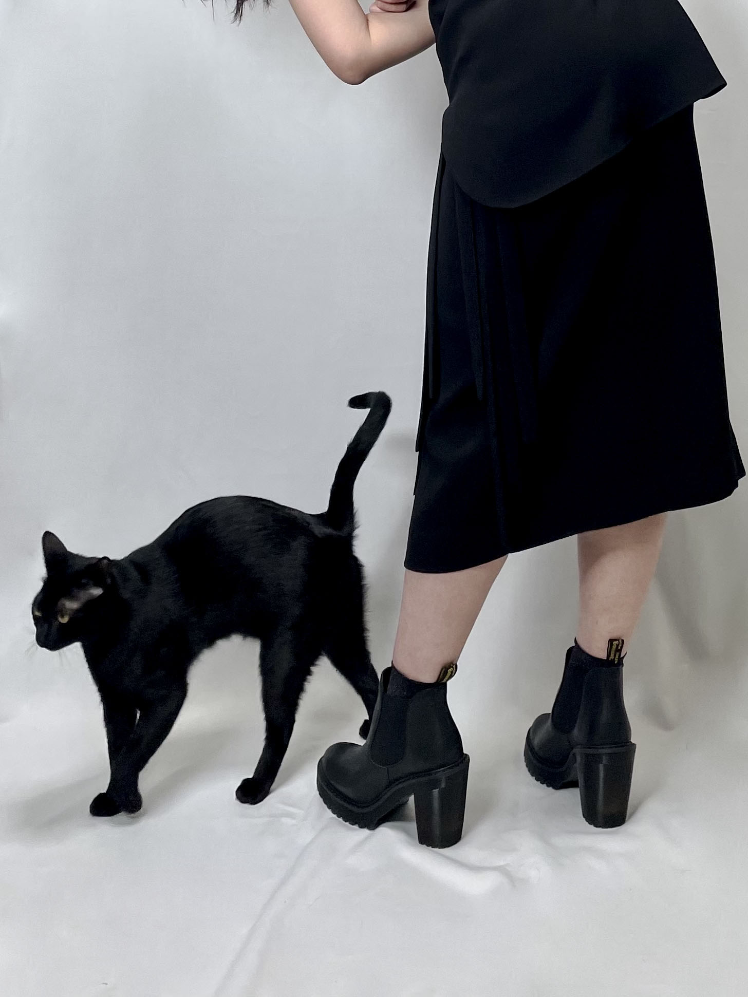 ファッションデザイナーと黒猫