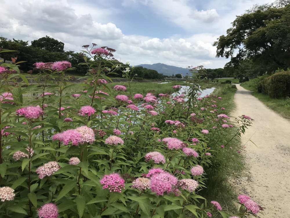時には命をも左右する、義歯の口腔ケア