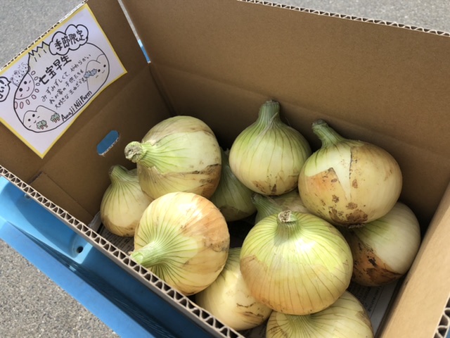 七宝早生の販売を始めました！